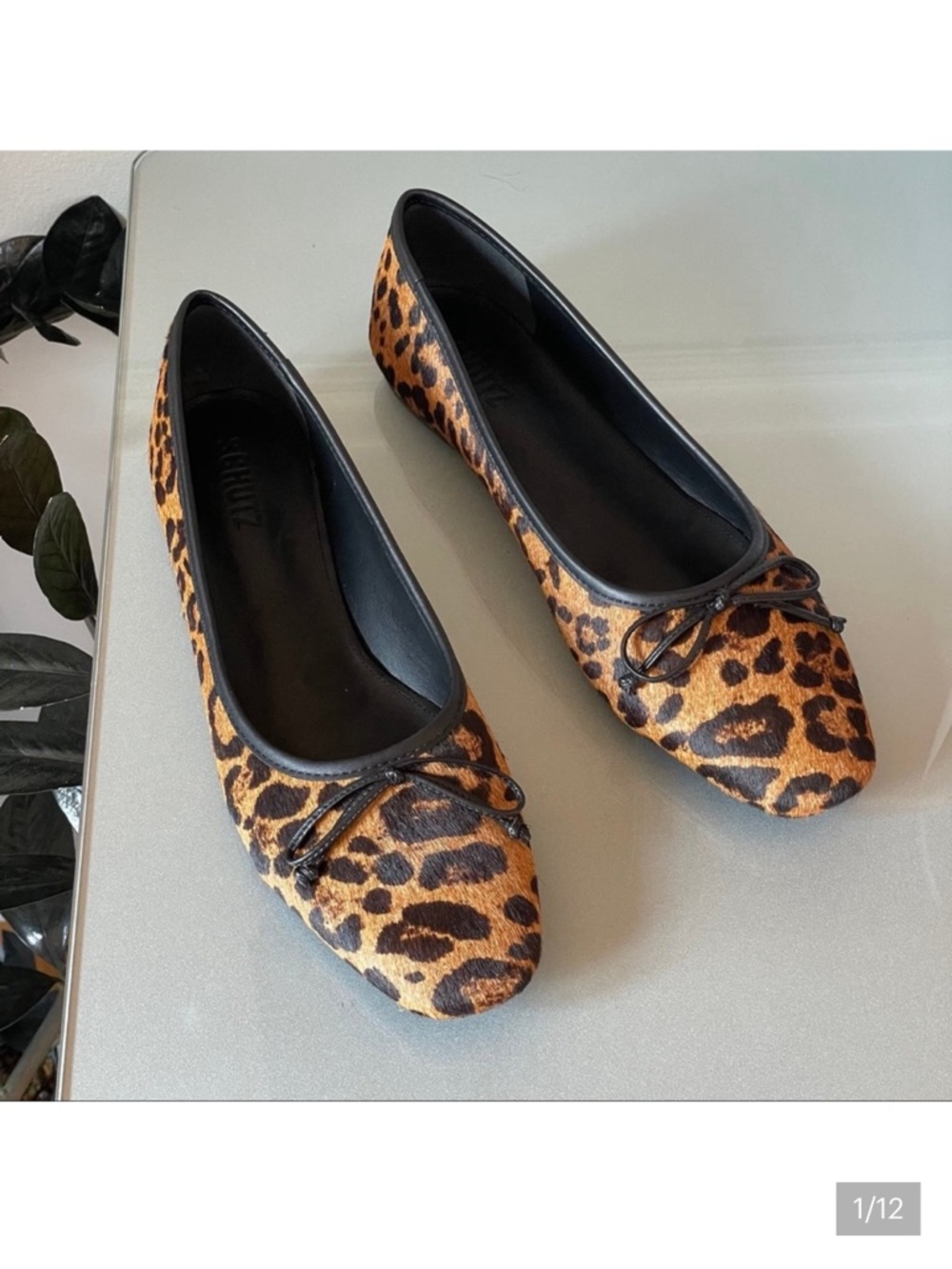 🐝SCHUTZ Leopard Print Flats with Black Trim
